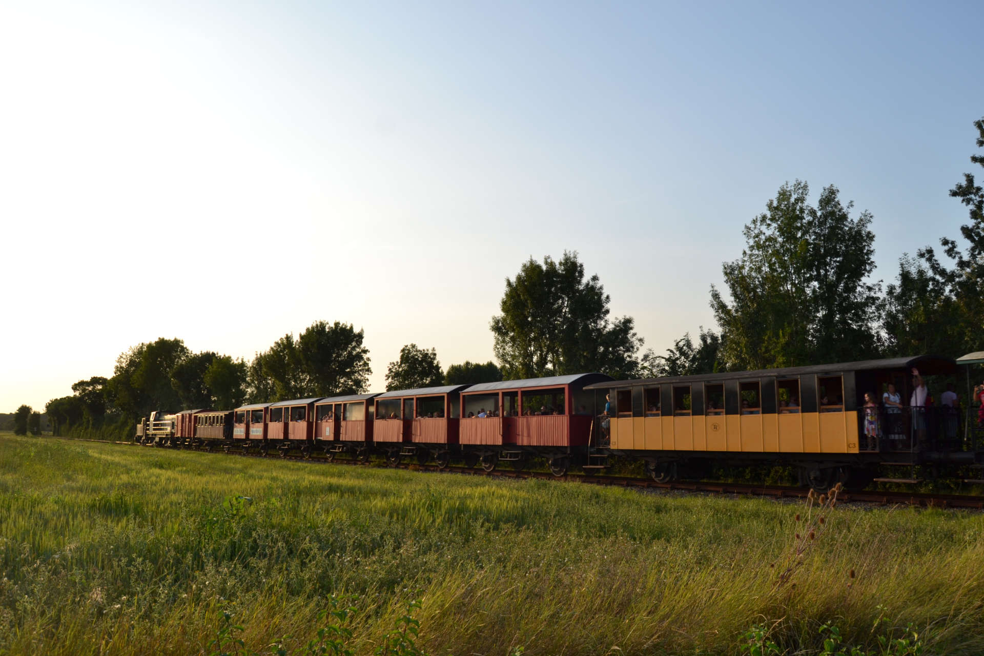 train-des-mouettes