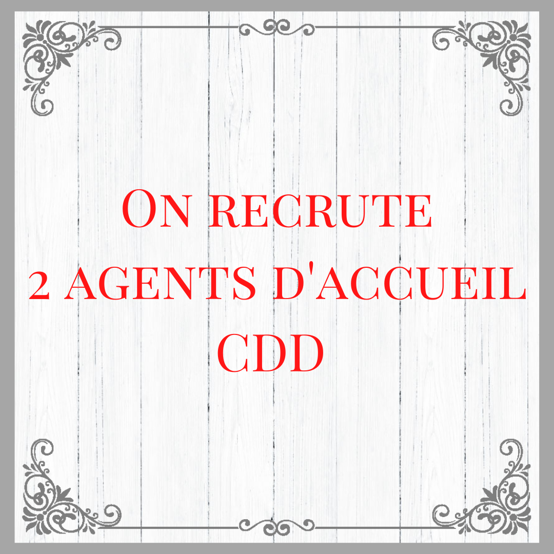 https://www.traindesmouettes.fr/wp-content/uploads/2022/03/recrutement-insta.png