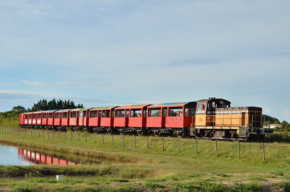 https://www.traindesmouettes.fr/wp-content/uploads/2022/07/©-Train-des-mouettes-diesel-marais-1.jpg